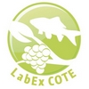 Labex cote